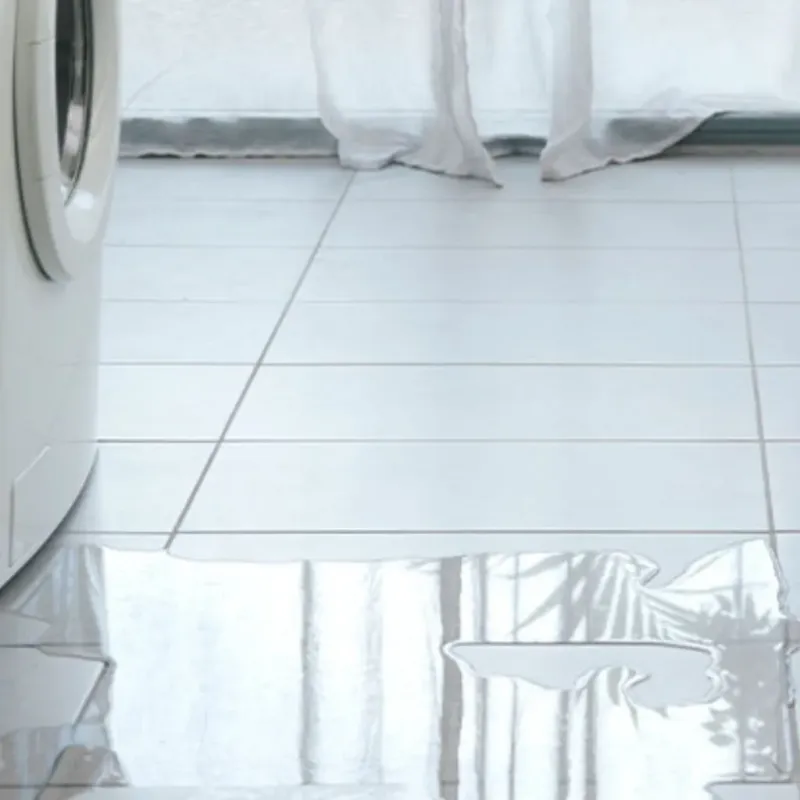 Appliance Leak Cleanup in Ridgemark, CA