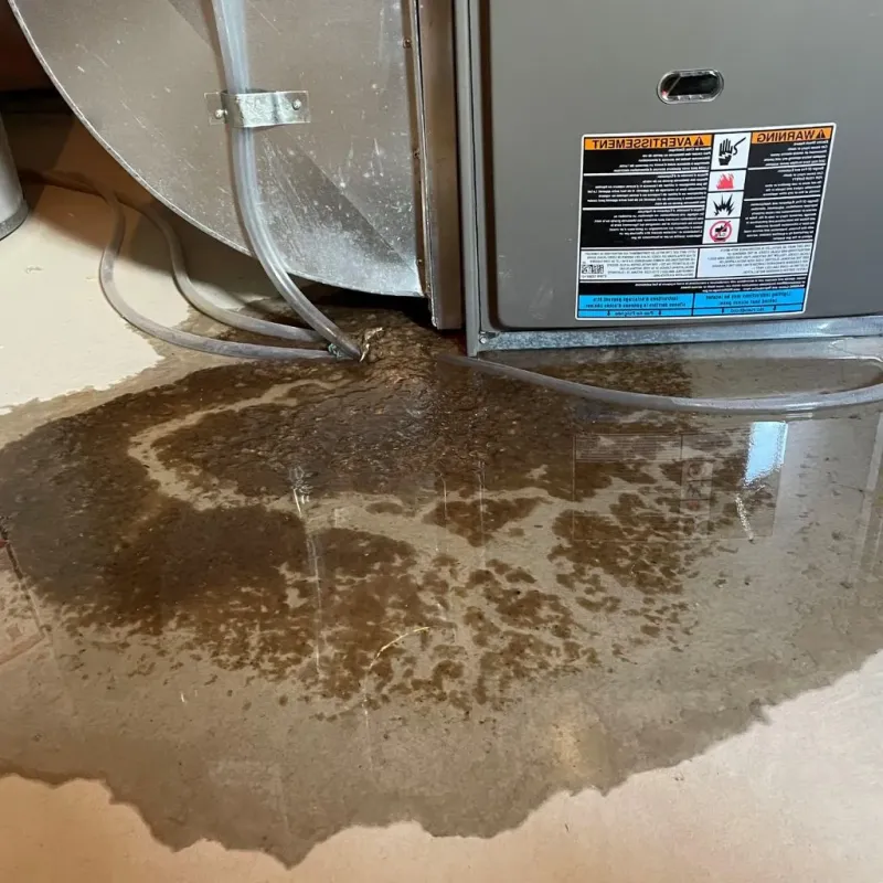 Pipe Burst and Leak Restoration in Ridgemark, CA